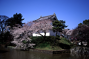 亀城公園（土浦城址）02