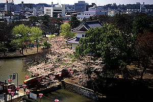 亀城公園（土浦城址）03