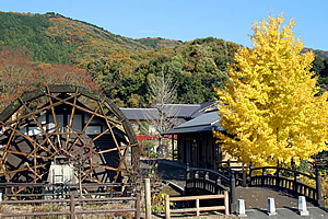 小町の館01