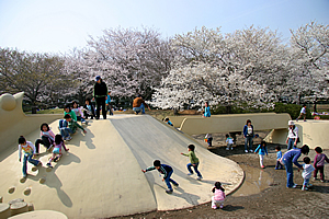 乙戸沼公園01