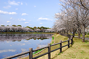 乙戸沼公園02