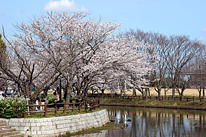 乙戸沼公園03
