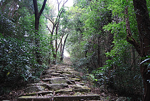 東城寺03