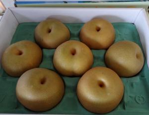 『なし』の画像