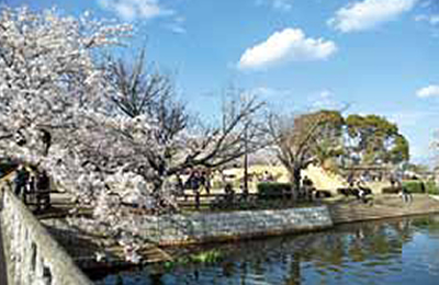 『土浦の公園1』の画像