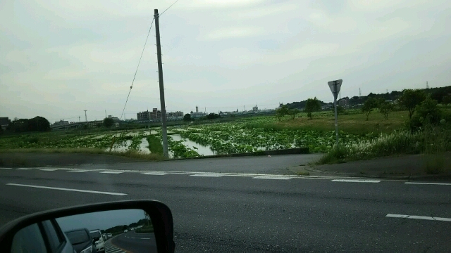 渋滞中で停車中の車の中から録りました。