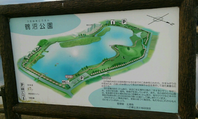 鶴沼公園