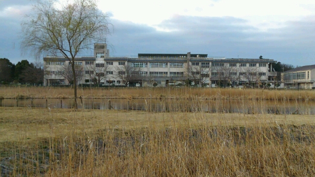 公園から見た菅谷小学校
