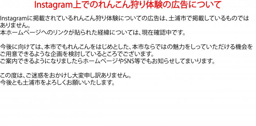れんこん狩り体験の広告への注意